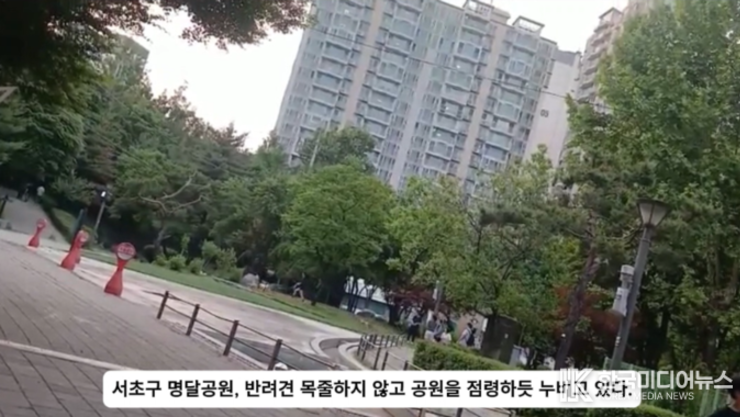 서초구, 반려견 목줄 단속, 책임 떠넘기기 하나?…세금으로 계도 인건비 지급, 과태료는 '제로'에 도전 하는가?
