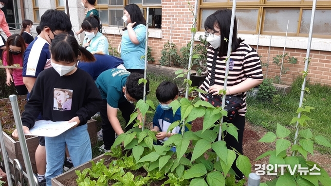 명현초 4학년, 초록 참살이 학교 프로젝트 수업 실시