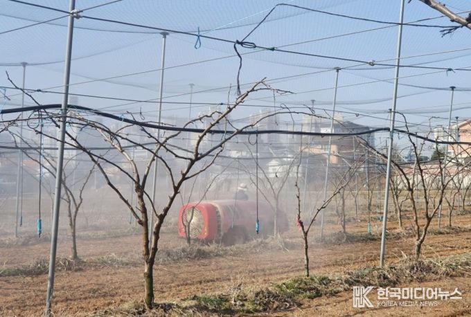 청주시, 2025년 과수화상병 예방 약품 지원신청 접수