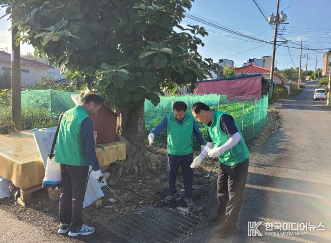 장흥면 새마을지도자양주시협의회 추석맞이 봉사, 깃발교체·유충방역·환경정화로 지역 밝히다.