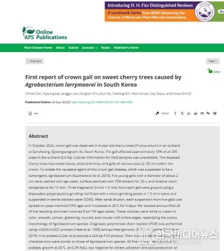 산청군, 국내 최초 체리 혹병 규명 국제 학술지 게재