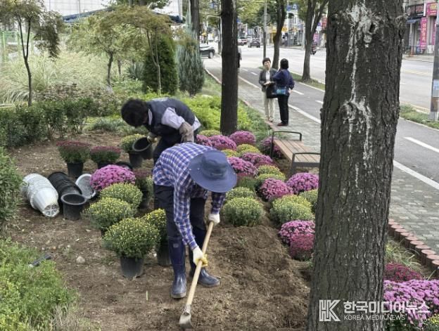 시흥시 정왕본동, 가을꽃 식재로 쾌적한 도시환경 조성 박차