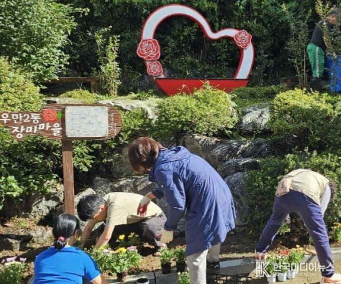 수원시 팔달구 우만2동, 가을맞이 국화 식재 추진