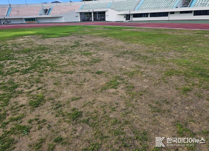 오버시딩 전 밀양시종합운동장 축구장 잔디 전경