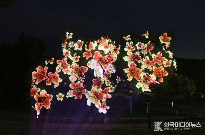 달성군 도동서원 미디어파사트 사진