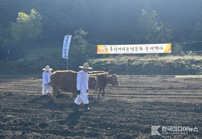 2025 홍천겨리농경문화 공개행사