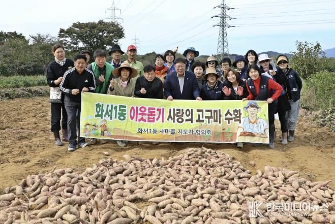 수원시 팔달구 화서1동 새마을지도자협의회, '2025 사랑의 고구마 수확 행사' 진행