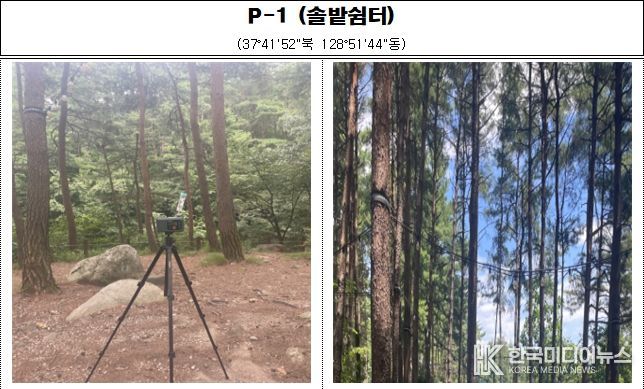 강원특별자치도 보건환경연구원,'강릉솔향수목원' 피톤치드 조사