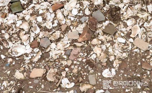 군산시 소재 패총유적 학술조사연구