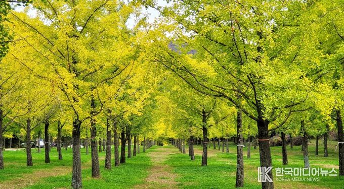 단풍과 축제가 어우러진 홍천의 가을