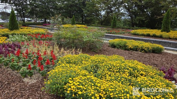 전북도 산림환경연구원, 고원화목원 ‘가을꽃 힐링정원’ 조성
