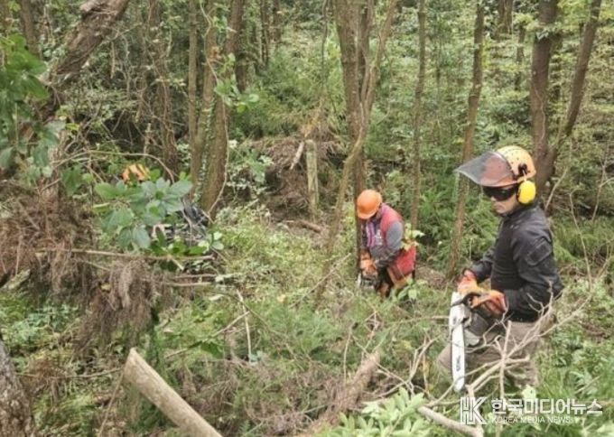 산불 예방을 위한 맞춤형 숲가꾸기