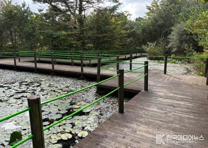 생태연못 데크 각관 보수