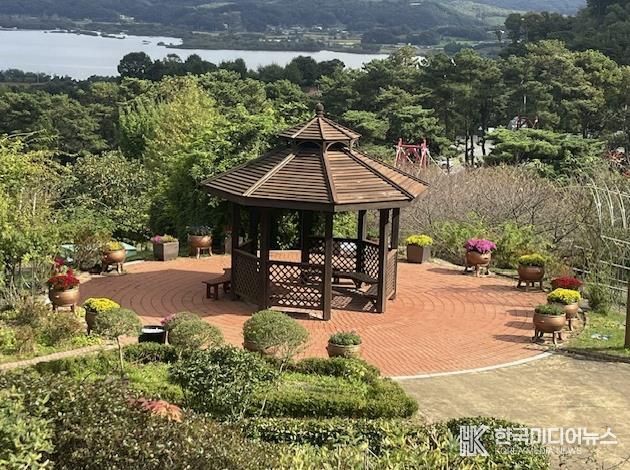 봉수산수목원 내 국화꽃 만개 모습