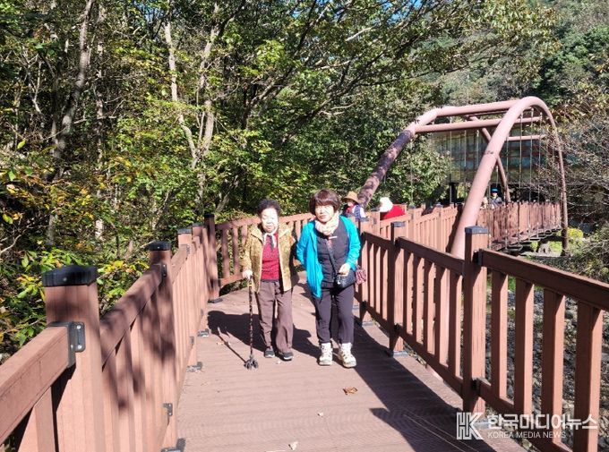 금산산림문화타운 무장애나눔길