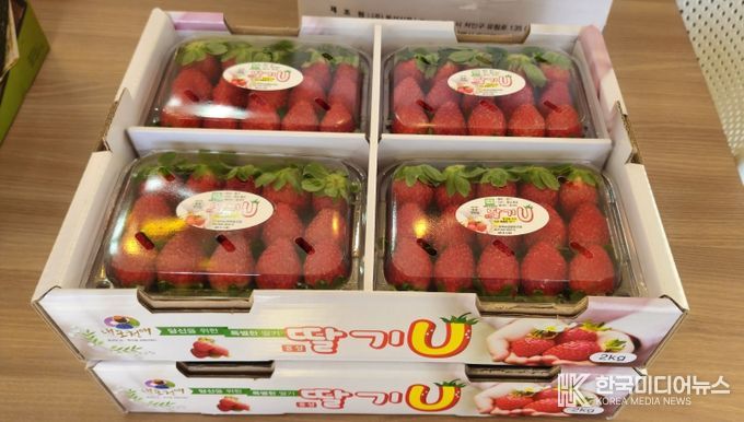 달콤한 시작은 홍성에서...홍성딸기 가락시장 데뷔!