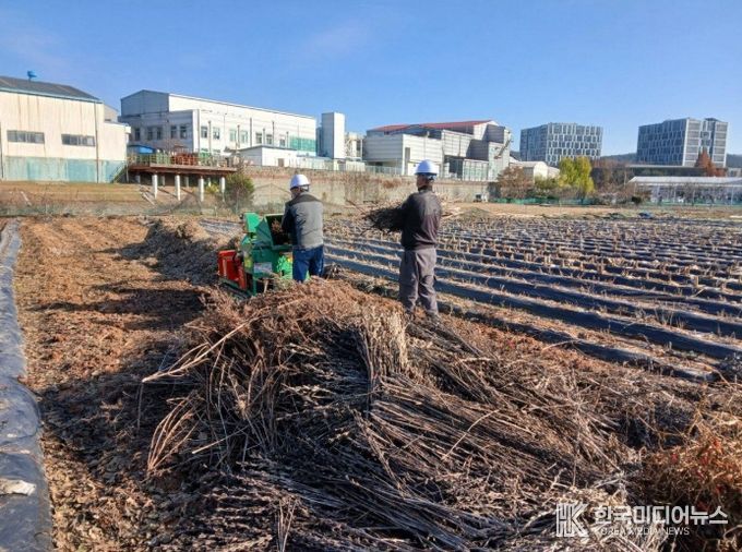 1. 천안시농업기술센터 영농부산물 파쇄지원단이 농가에 방문해 파쇄 작업을 진행하고 있다.