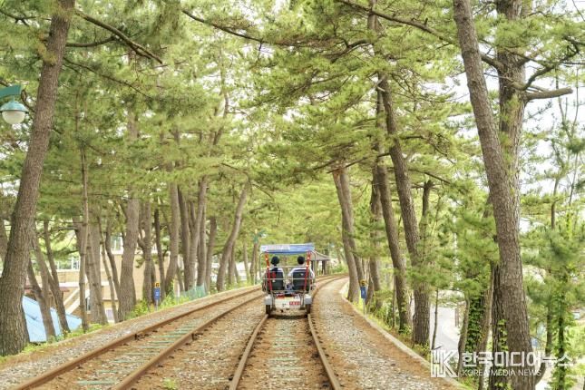 해양레일바이크