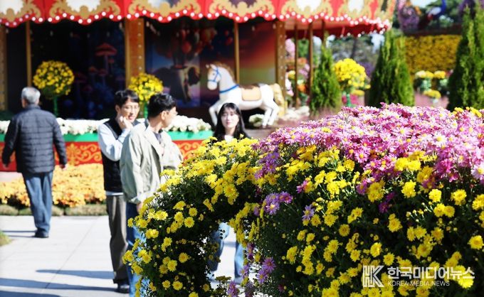 2025 대한민국 국향대전 회전목마 포토존, 국화 만개 전경