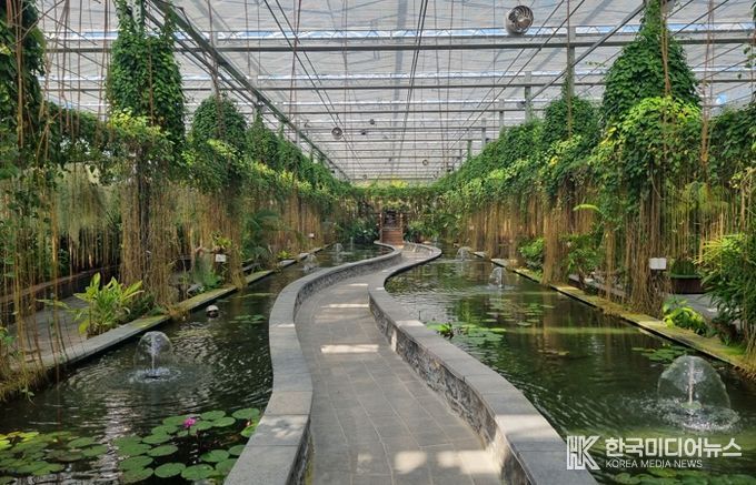 정글 속으로! 함평군 ‘수생식물관’, 이색 연출 인기 만점