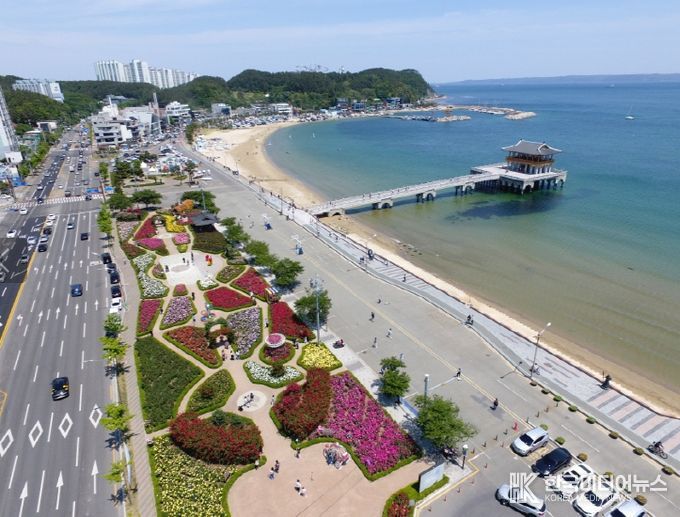 . 포항시 영일대 장미원 전경.