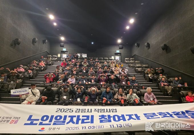 노인일자리 및 사회활동지원사업 참여 어르신 대상 문화활동