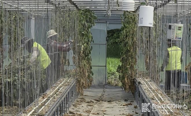 보은군, 라오스 계절근로자 파견 종료… 1582농가에 ‘든든한 힘’