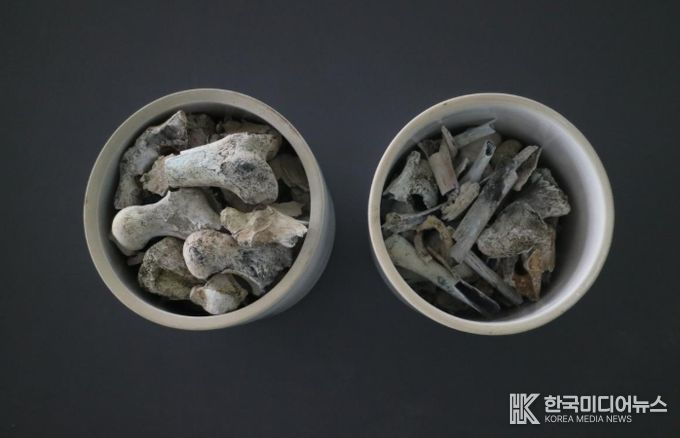 2005년 3월 경상북도 포항시 북구 흥해읍 도음산 정상에서 발굴한 국군 제8사단 10연대 소속의 고(故) 양이한 일병의 유해