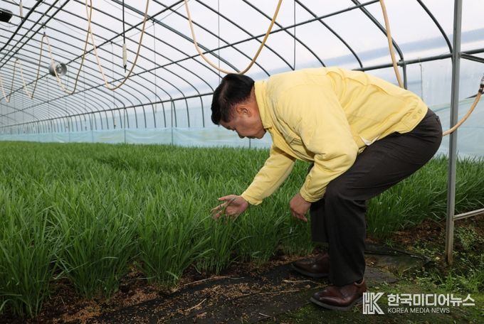 고성군수, 부추재배 농가 현장 찾아 농업인 격려