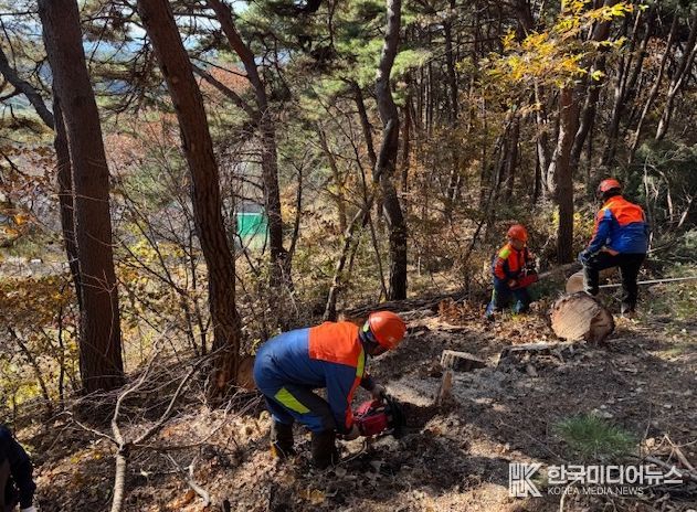 ‘소나무재선충병 확산 막아라’ 춘천시 방제 총력전