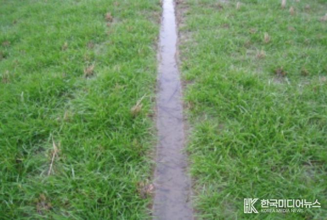 배수로가 정비된 재배지