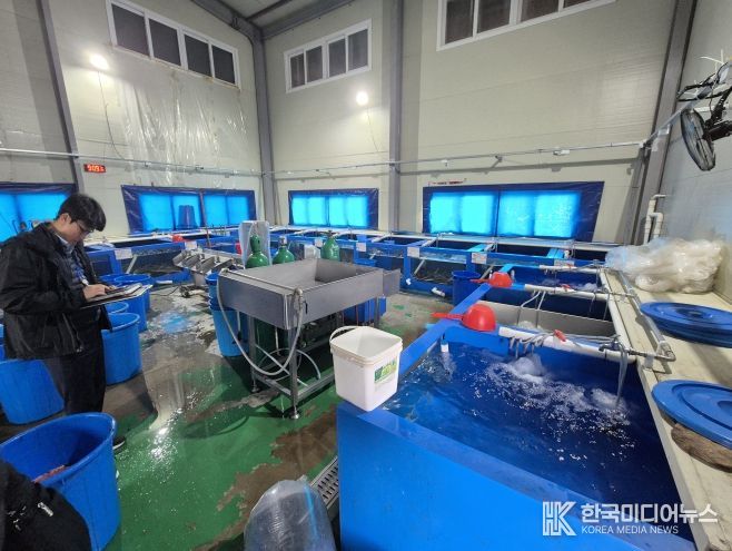 국내산 민물장어로 둔갑된 중국산 장어 현황판을 확인 중인 중부해경과 수품원 공무원