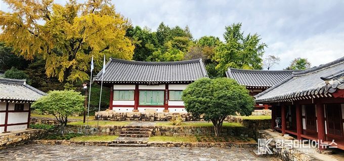 노란 은행잎 물드는 11월, 문학과 역사의 숨결 ‘이균영’을 찾아 - 관광과(故이균영 작가가 어린시절 뛰놀던 광양향교의 은행잎이 노랗게 물들었다)