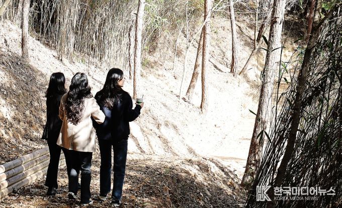 함평군 기산봉 힐링숲길 산책