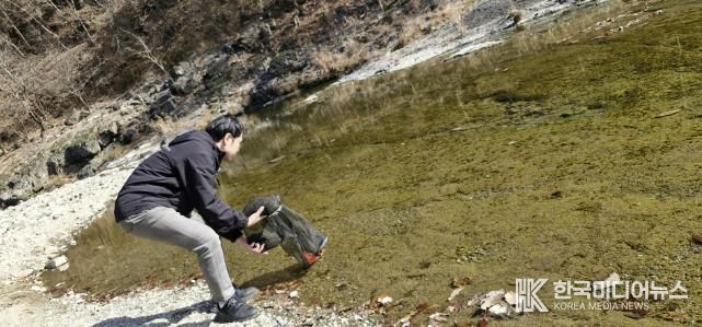 연천군, 한탄강·임진강에 토산어종 ‘다슬기’ 치어 83만 미 방류