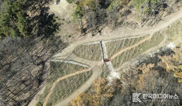 용인특례시가 수지구 죽전동에 조성한 '도시 숲' 모습