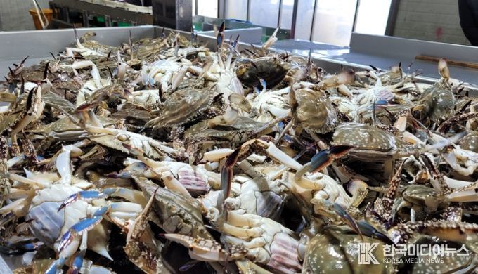 진도군, 해양수산부 공모사업 선정