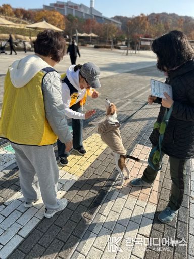 반려동물 관련 사진