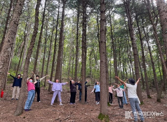 산림치유 프로그램
