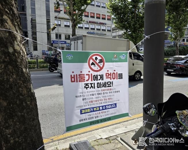 신림역 일대 남부순환로에 게첨된 비둘기 먹이주기 금지 안내문