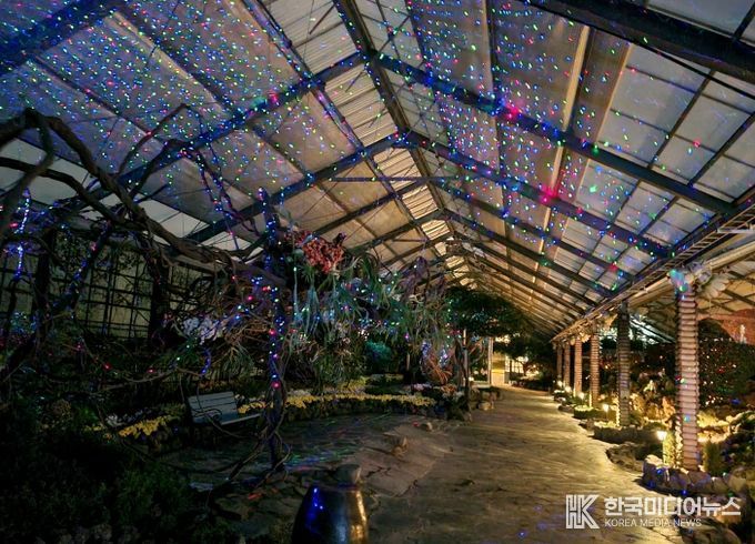 자연생태관 실내 연출 모습