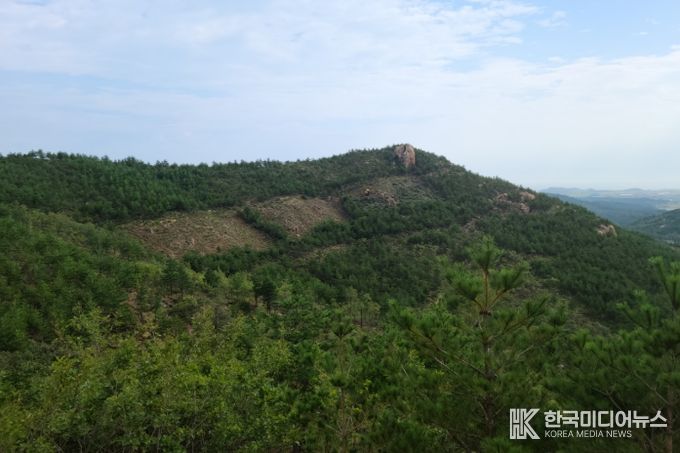 내화수림 조성 후