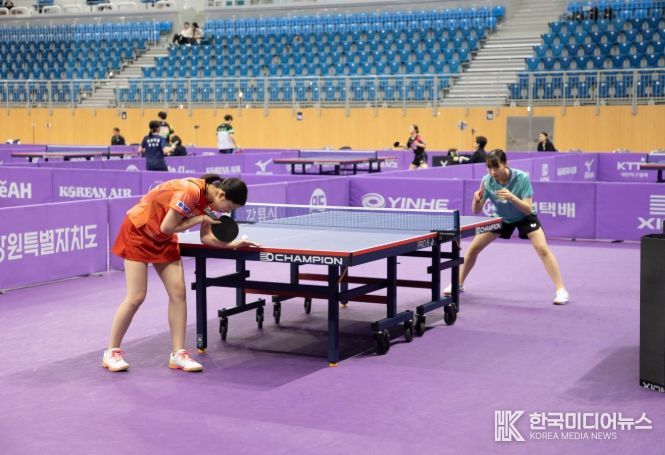 전문·생활체육 확대·체육 인프라 확충