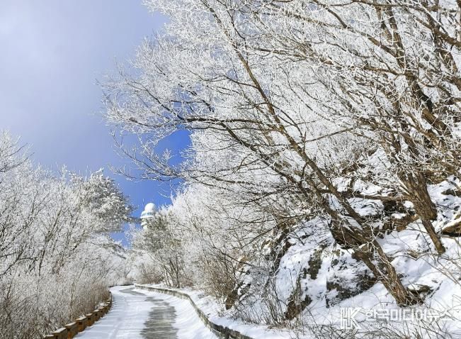 소백산 겨울
