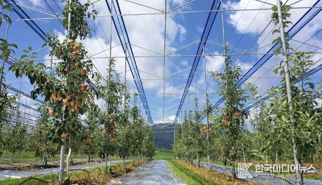 보은군, 스마트 과수원 특화단지 조성 공모사업 선정...충북 최초 스마트 과수원 특화단지 조성