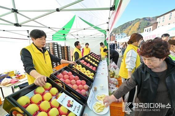 정선군, 농식품부 과수분야 연차평가 강원도 유일 인센티브 확보 정선사과 축제(2025)