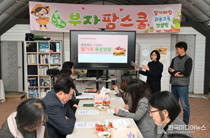 충북농기원, 딸기 무병묘 생산 체계 가동