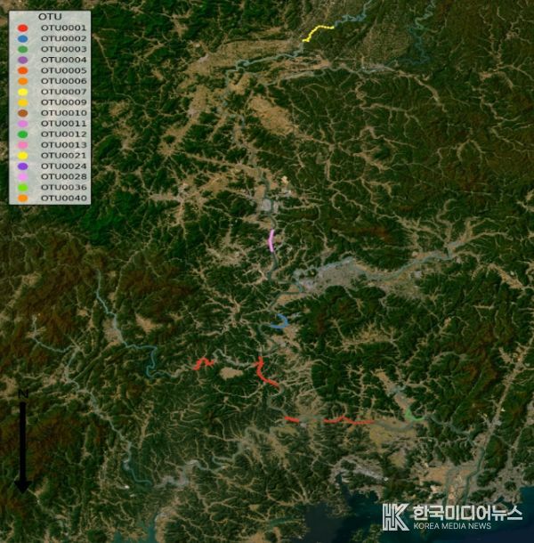 낙동강수계 유전형 분포