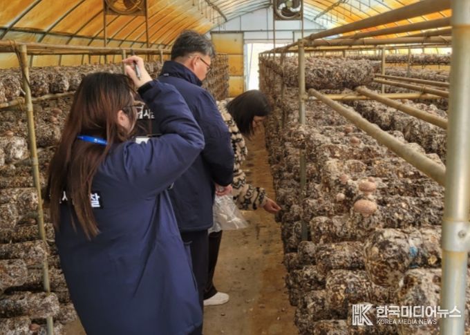 표고 생산농가 유통조사