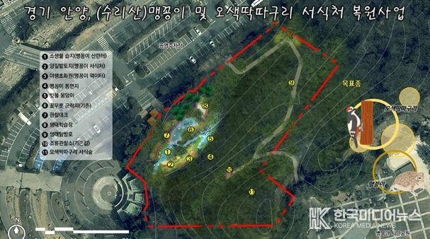 안양시, 병목안시민공원 맹꽁이・오색딱따구리 서식처 복원…국비 4.4억 확보